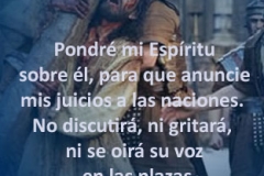 mateo-12-19