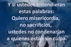 mateo-12-7