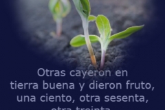 mateo-13-08