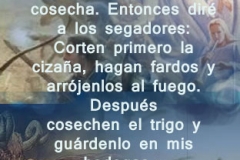 mateo-13-30