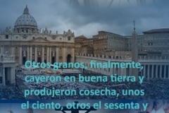mateo-13-8