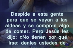 mateo-14-15