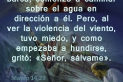 mateo-14-29