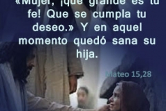 mateo-15-28