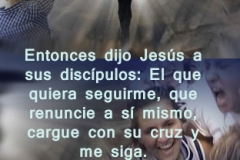 mateo-16-24