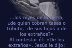 mateo-17-25