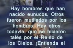 mateo-19-12