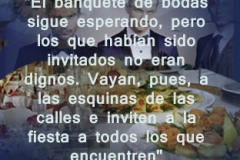 mateo-22-08
