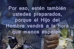 mateo-24-44