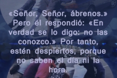 mateo-25-11