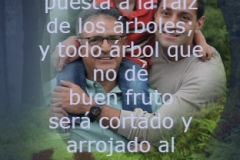 mateo-3-10