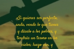 Si quieres ser perfecto