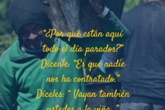 Vayan también ustedes a la viña