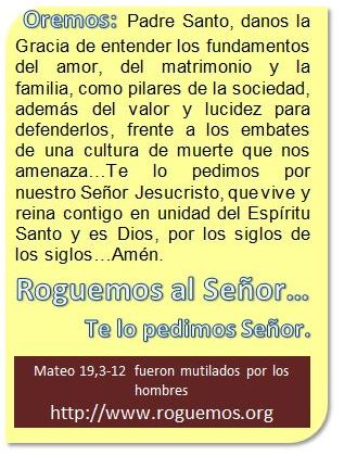 Mateo-19-03-12-2016-08-12