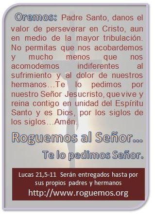 lucas-21-12-19-2016-11-23