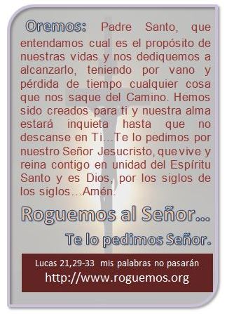 lucas-21-29-33-2016-11-25