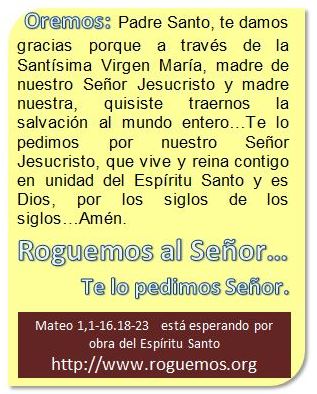 mateo-01-01-16-18-23-2016-09-08