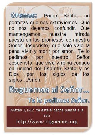 mateo-03-01-12-2016-12-04