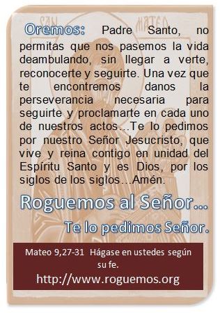 mateo-09-27-31-2016-12-02