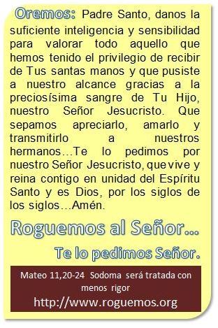 mateo-11-20-24-2016-07-12