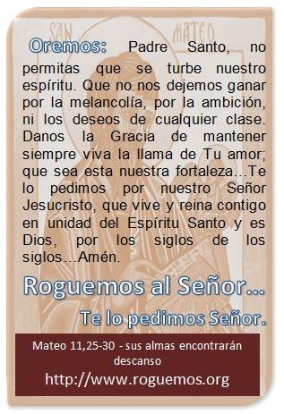 mateo-11-25-30-2016-11-03