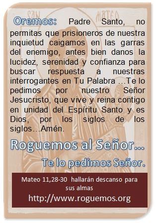mateo-11-28-30-2016-12-07