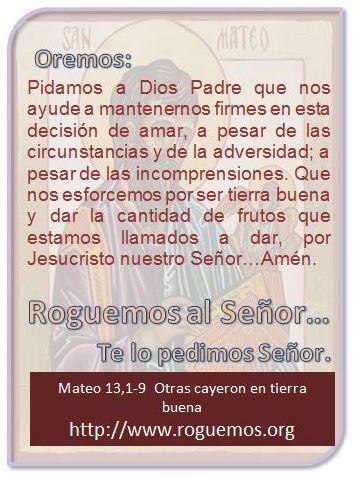 mateo-13-01-09