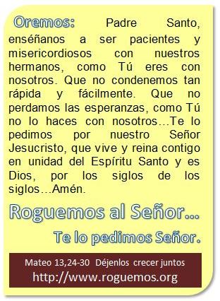 mateo-13-24-30-2016-07-23