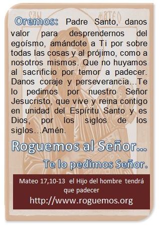 mateo-17-10-13-2016-12-10