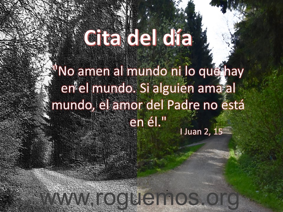 No amen al mundo