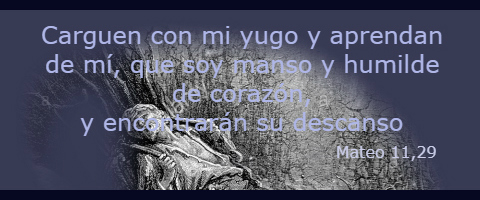 encontrarán su descanso – Mateo 11,28-30