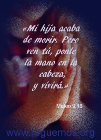 vivirá – Mateo 9,18-26