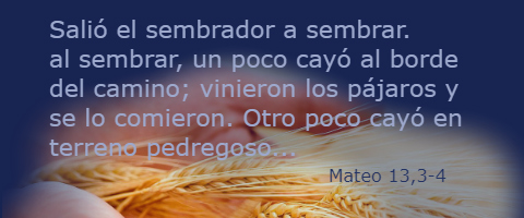Salió el sembrador a sembrar