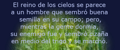 su enemigo fue y sembró cizaña – Mateo 13,24-30