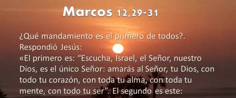 amarás al Señor – Marcos 12,28b-34