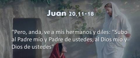 Juan 20,11-18 – ve a mis hermanos