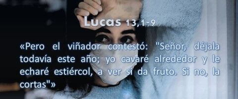 Lucas 13,1-9 si da fruto