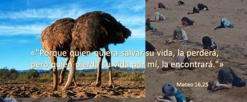 No podemos seguir actuando como el avestruz